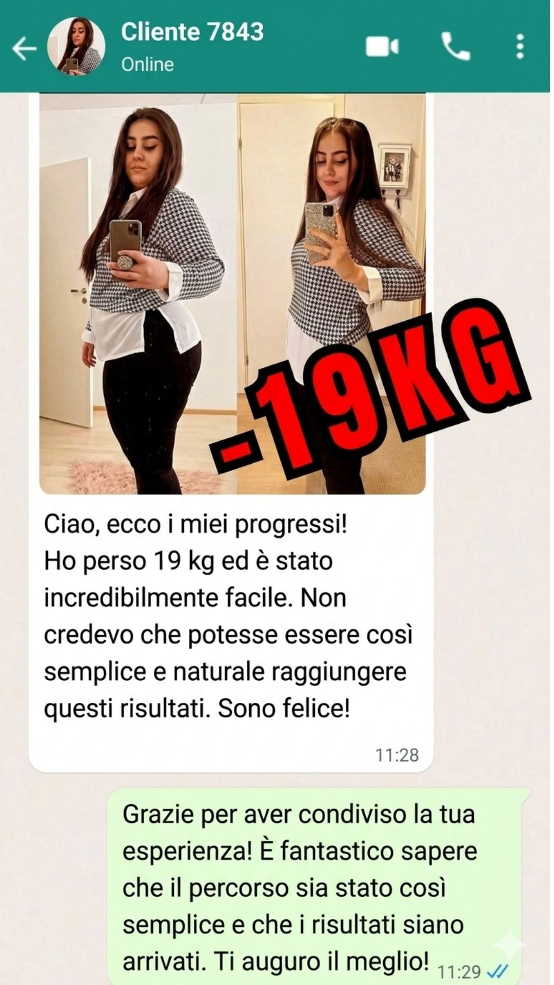 Recensione Snella System Plus 4