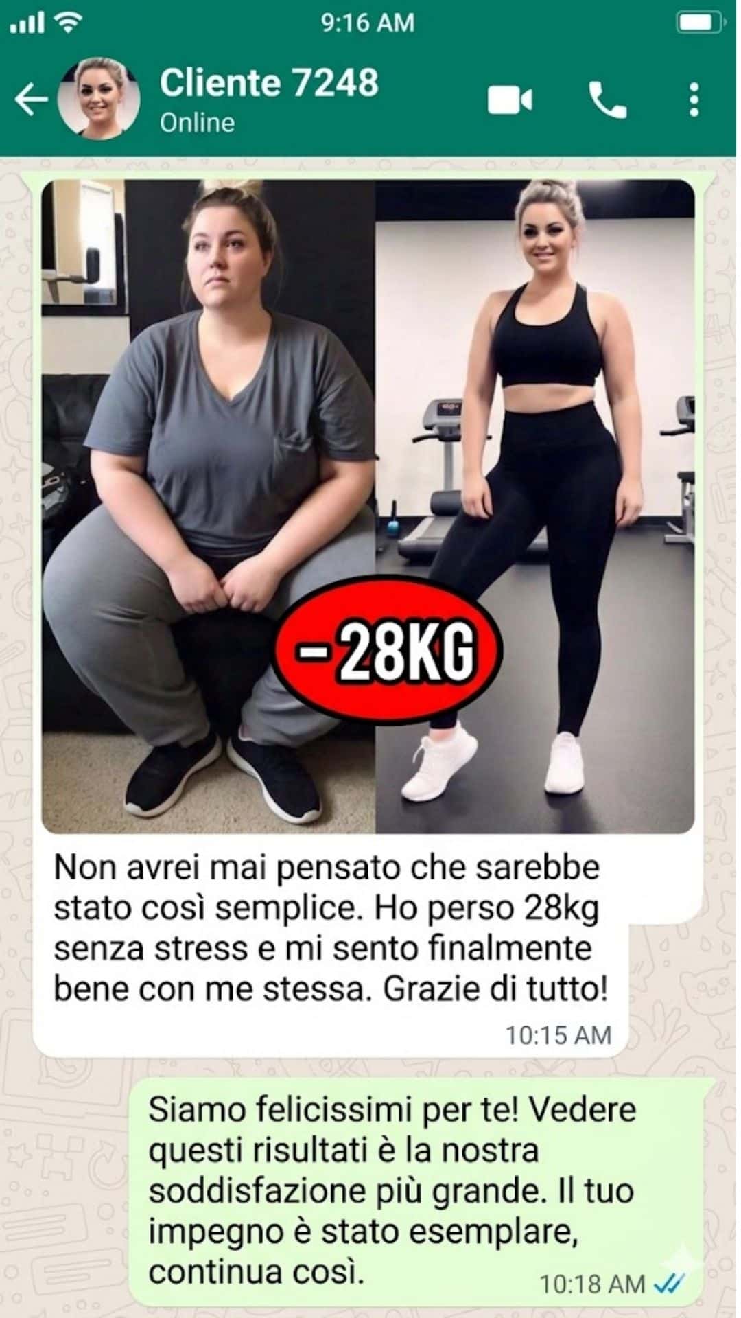 Recensione Snella System Plus 1